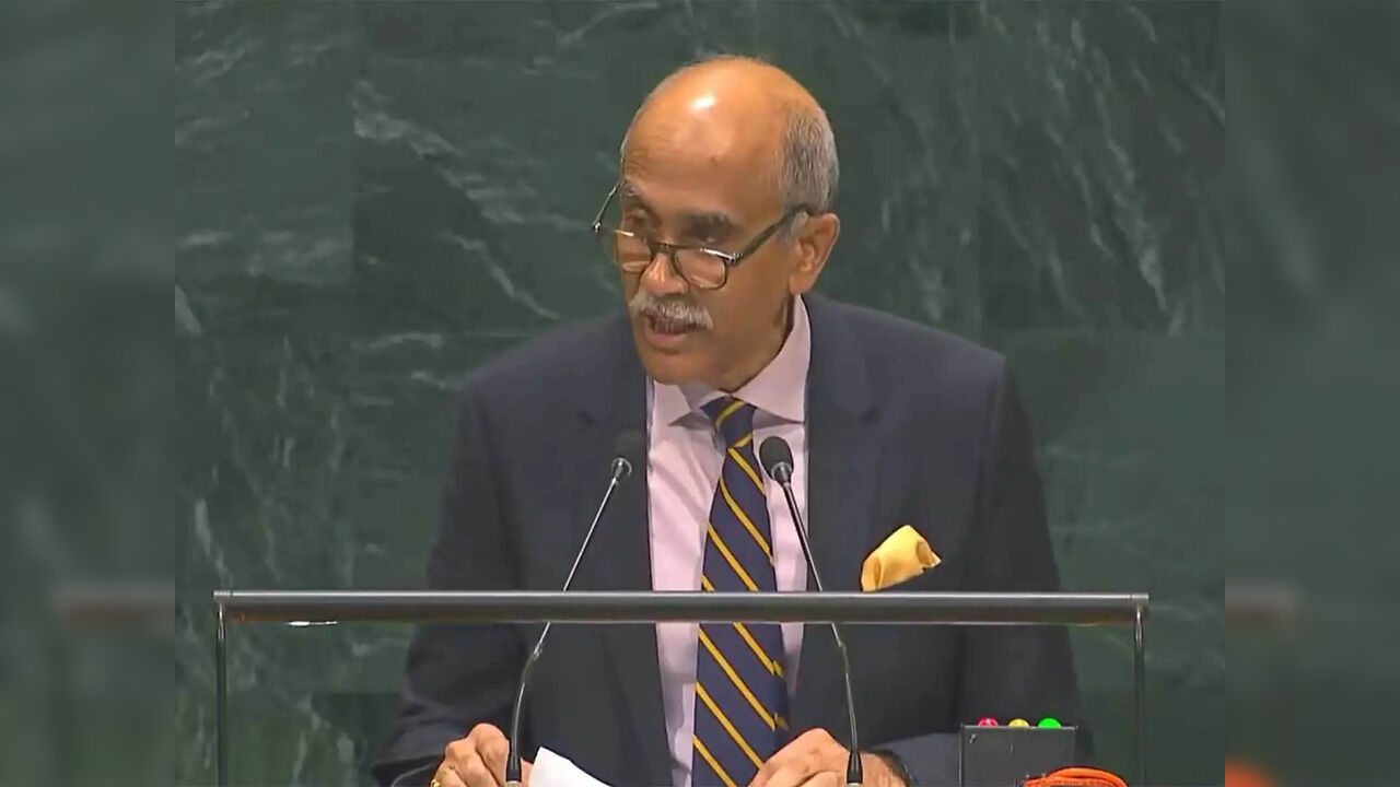New UNSC permanent members without veto would be 'second-class', warns ...