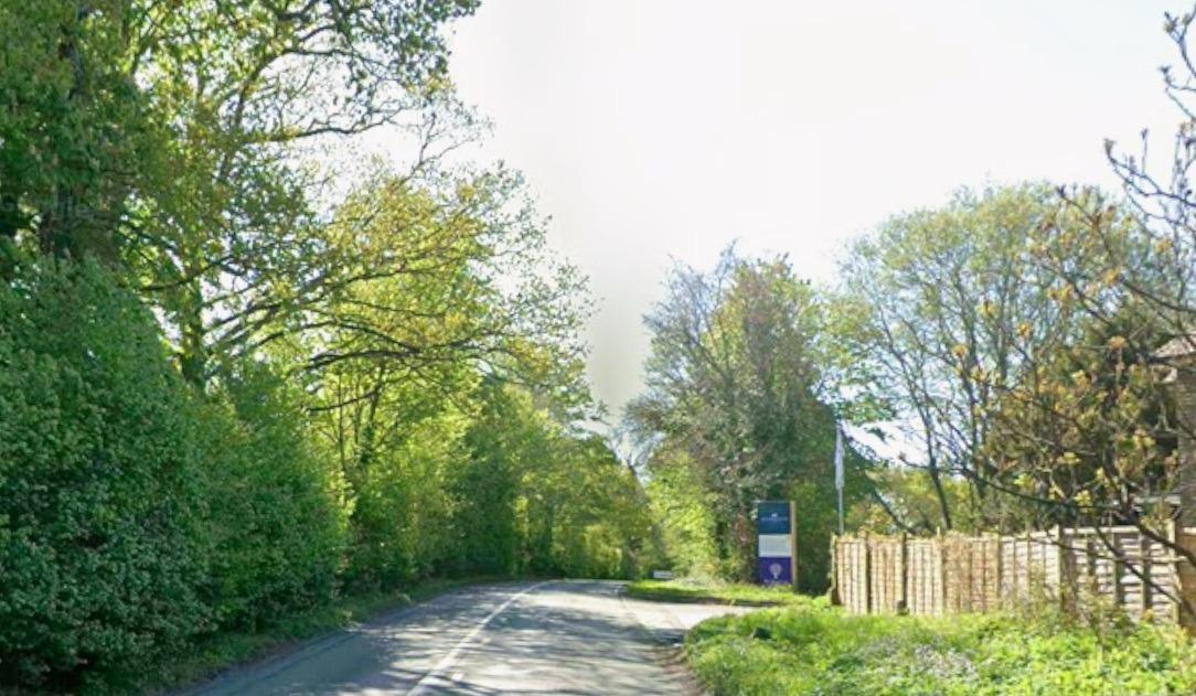 A281 closed near Horsham after report of fallen tree and power cables