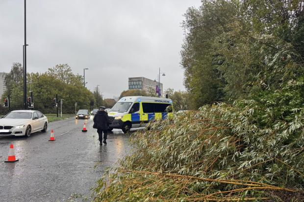 Police spend two hours helping clear fallen tree from Southampton road