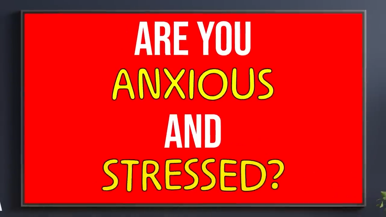 Testing clothes for anxiety: Real data on whether they work