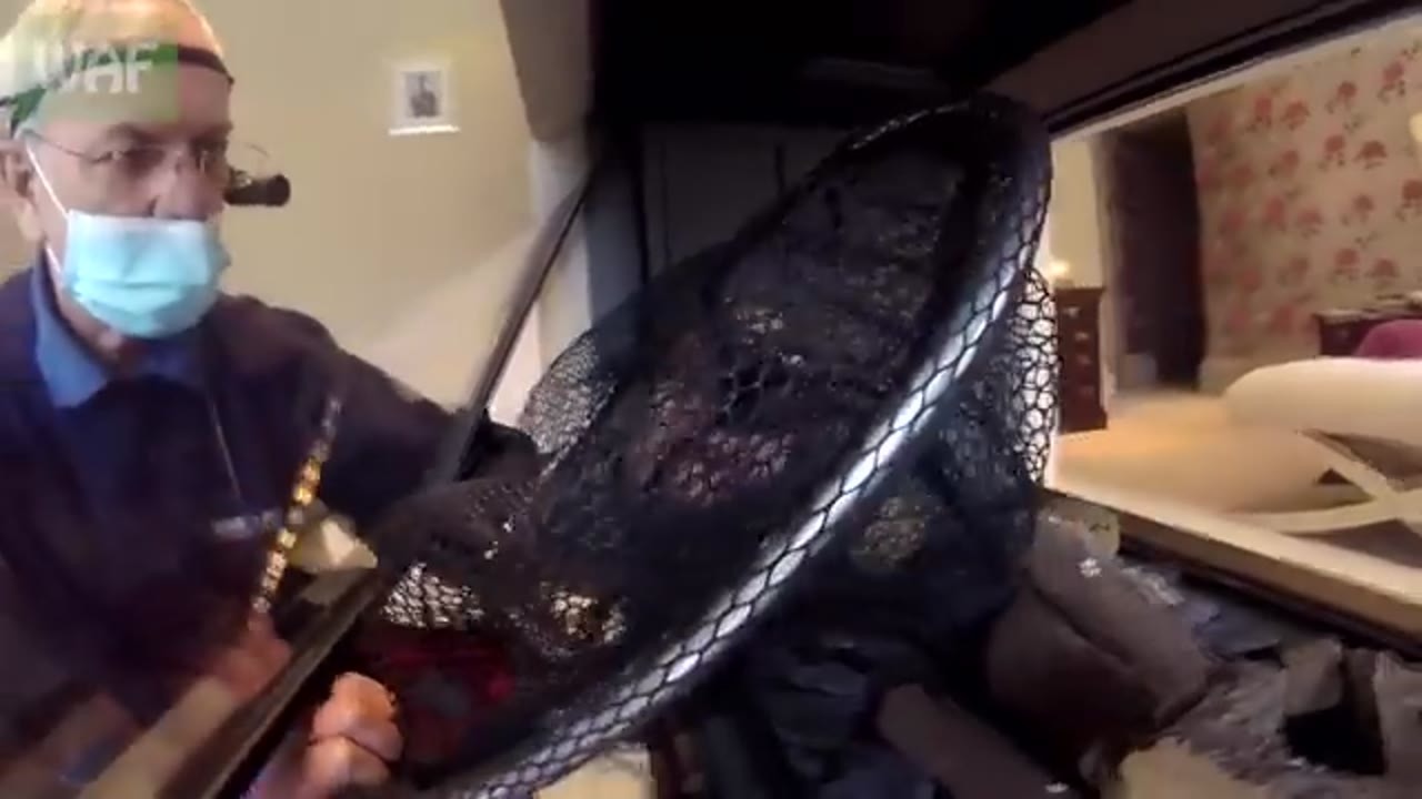 A small bird was stuck inside a gas fireplace - rescuers had to take it ...