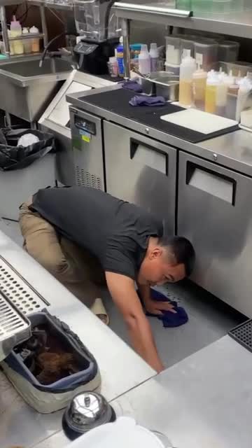 Monitor lizard caught under table in restaurant kitchen