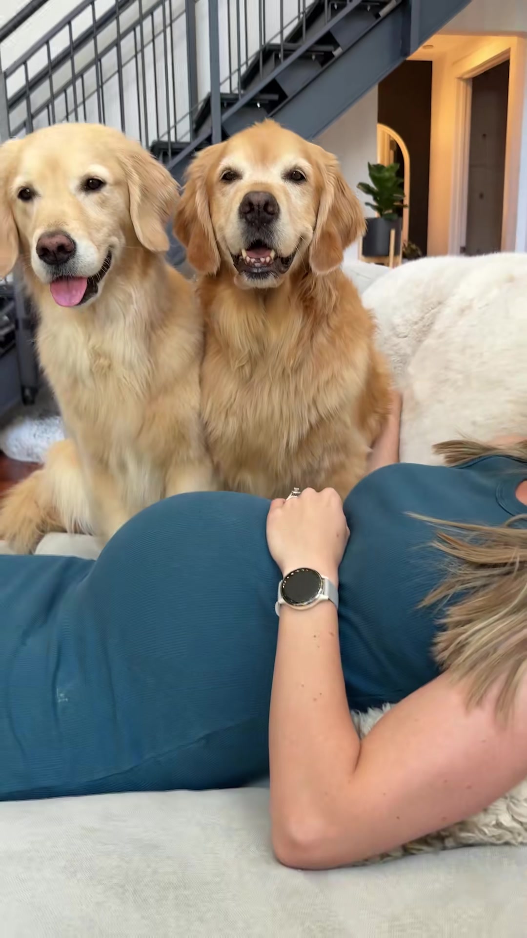 The perfect phone background: two golden retrievers and my wife