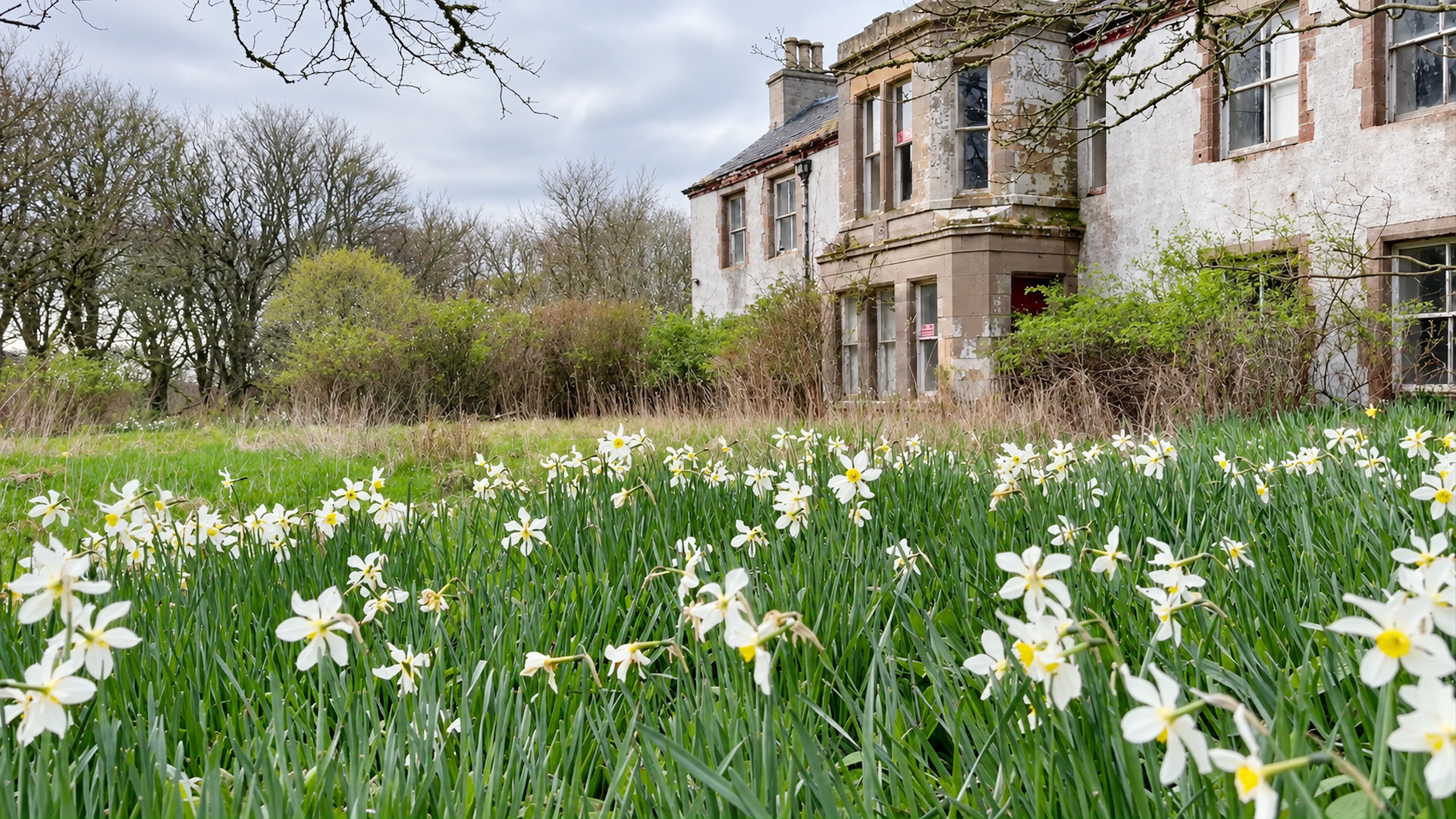 A forgotten mansion hidden deep in the forest for nearly 20 years