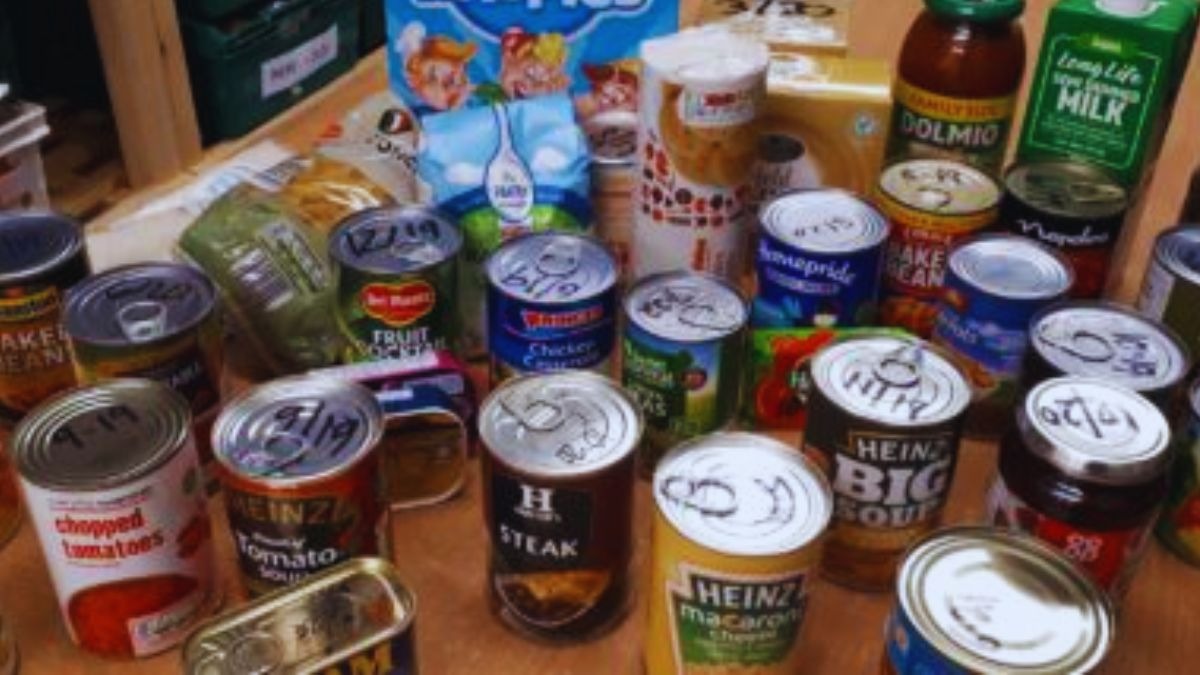 Junk food rewires children's brains, study finds. GOVT urged to ban ...