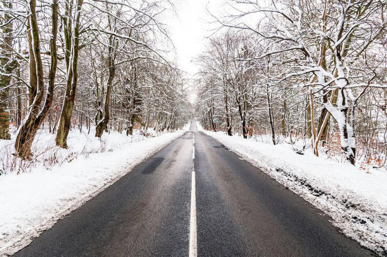 Clear supernatural signs in nature predict a cold and hard winter