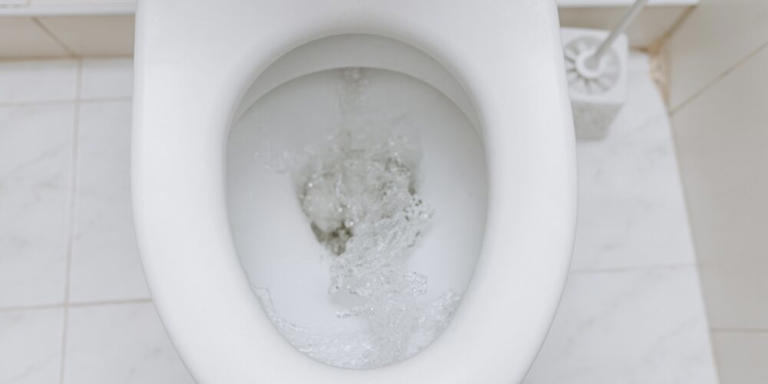 What the color of your stool can reveal about your liver and gut health
