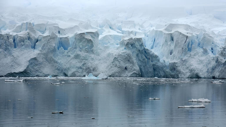 Polar ice loss makes solid Earth rounder while oceans flatten it