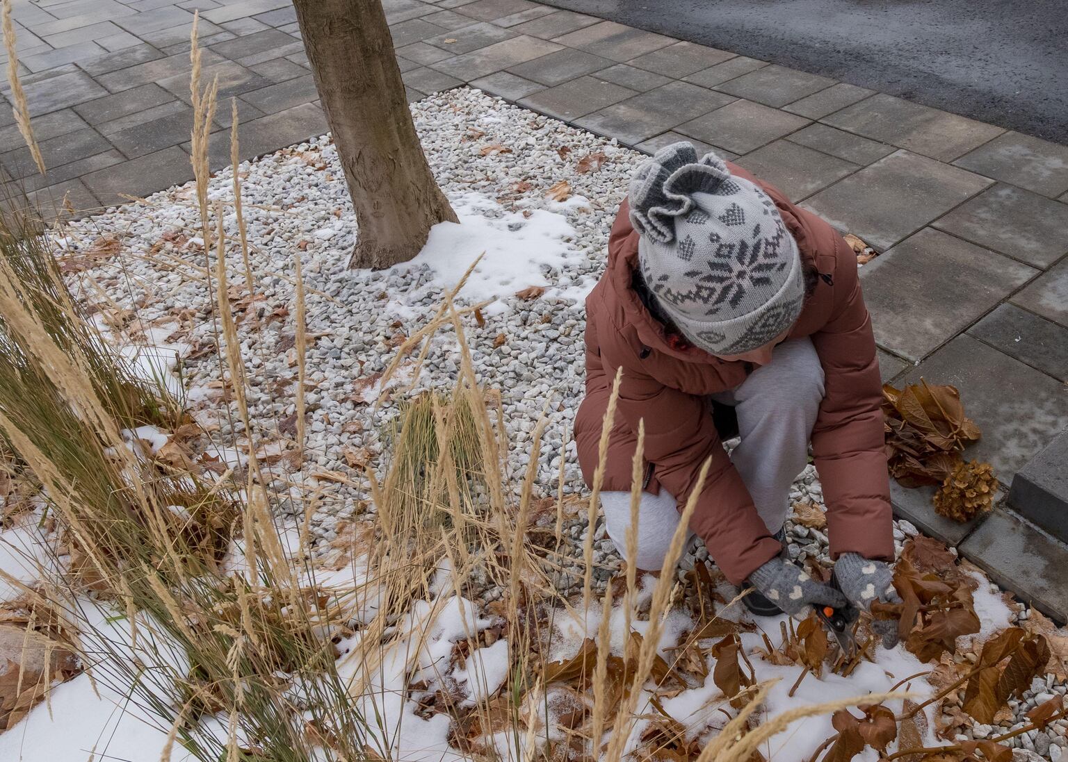 How to get your garden ready for Christmas