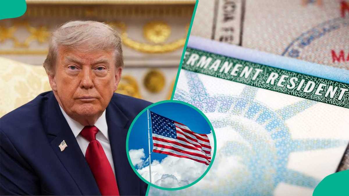 What to know as NACC unveils US green card pathway for Nigerian investors