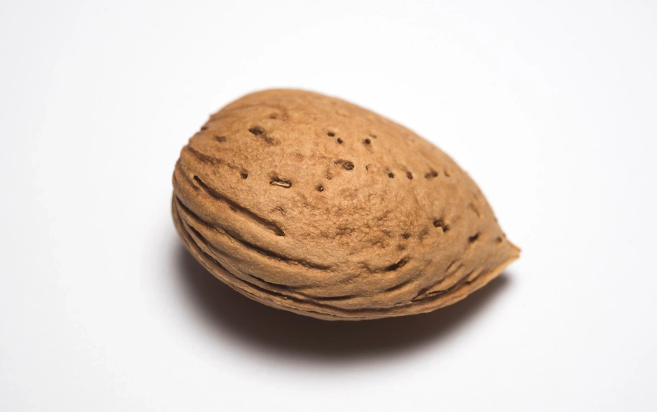 Soaked almonds: tradition meets nutrition science