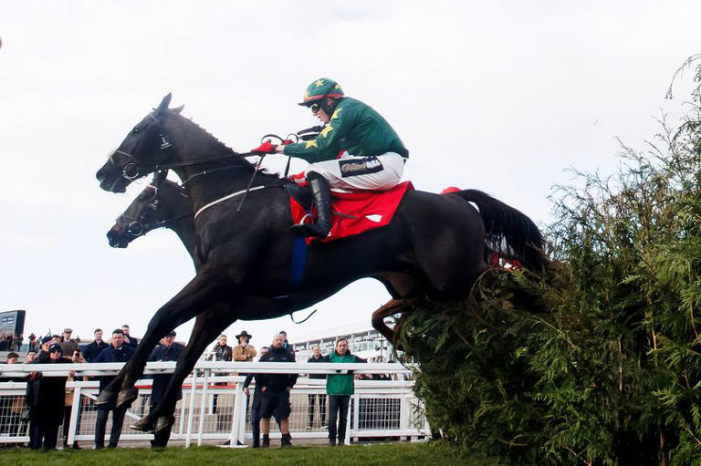 Irish Cheltenham Festival winner surprises trainer with victory he didn ...