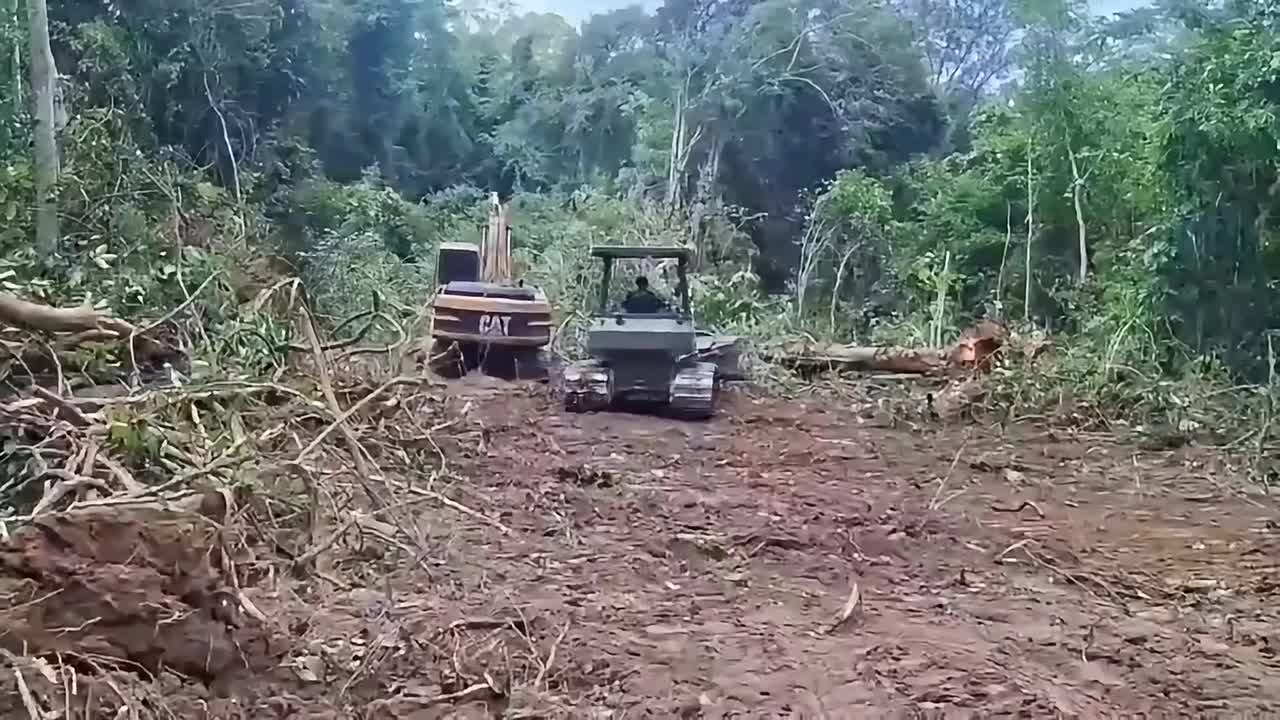 Excavator hits landmine while clearing trees along Thai-Cambodian border