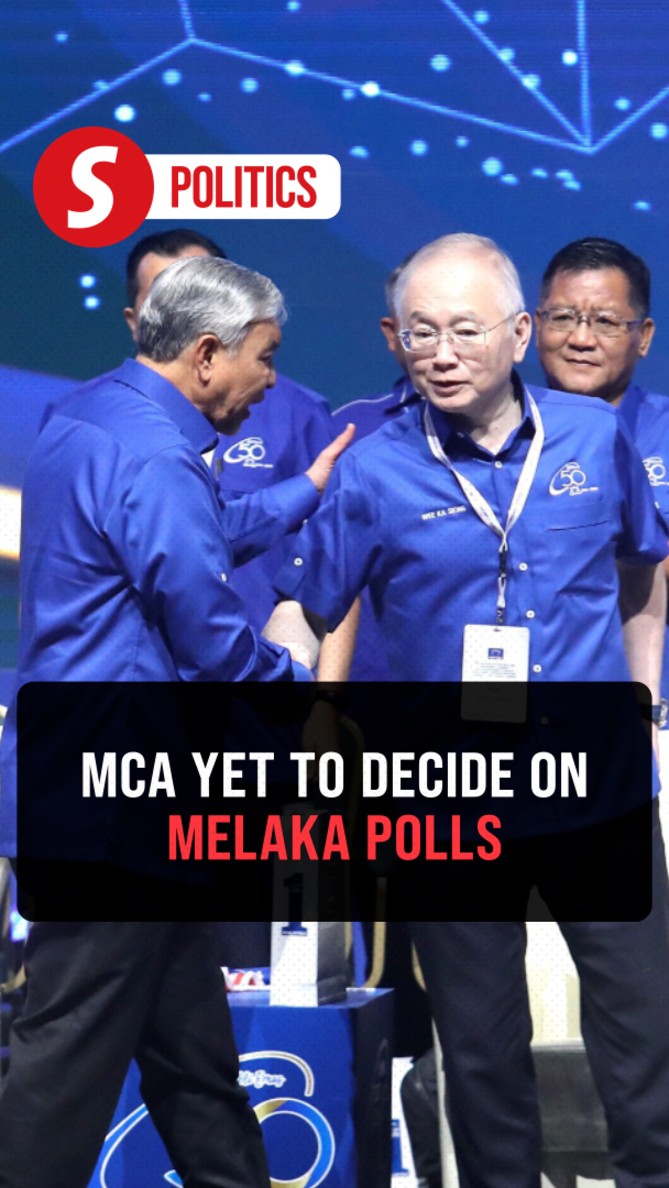 Melaka polls: Zahid says MCA talks positive, Dr Wee says premature