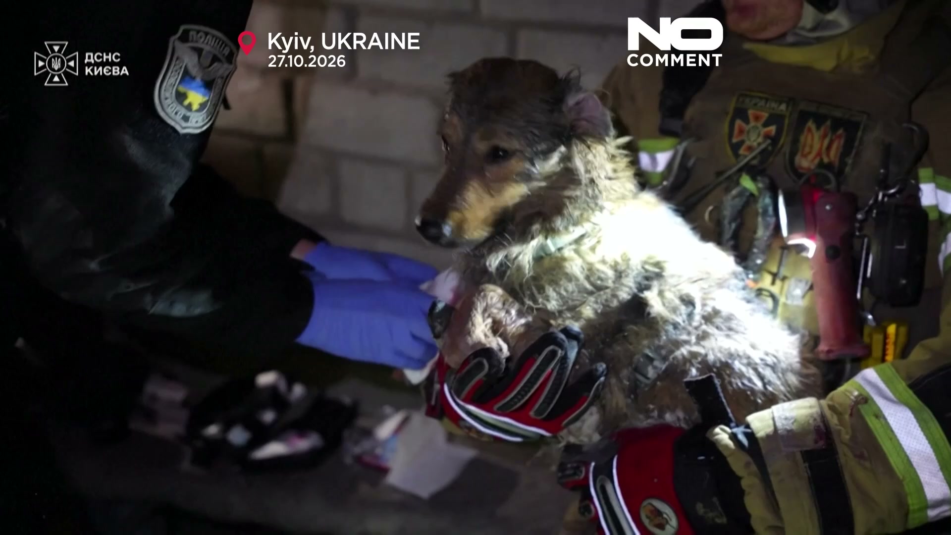 Ukraine: Firefighters battle flames and rescue dog from Kyiv ruins