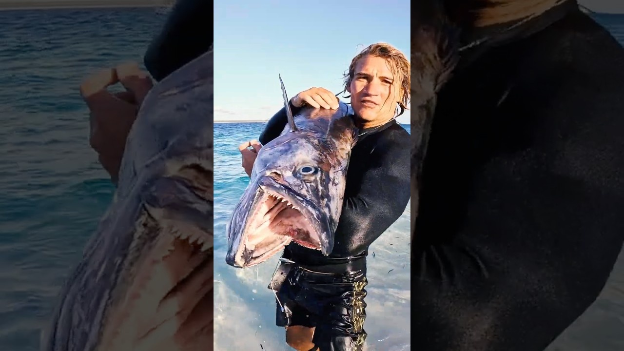 This thing is a monster... He caught a monster fish on a deserted ...