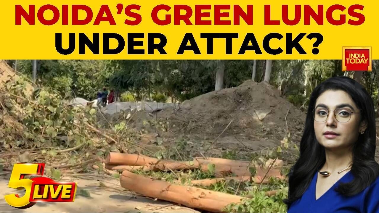 Noida pollution crisis: Tree felling row at biodiversity park as deer ...