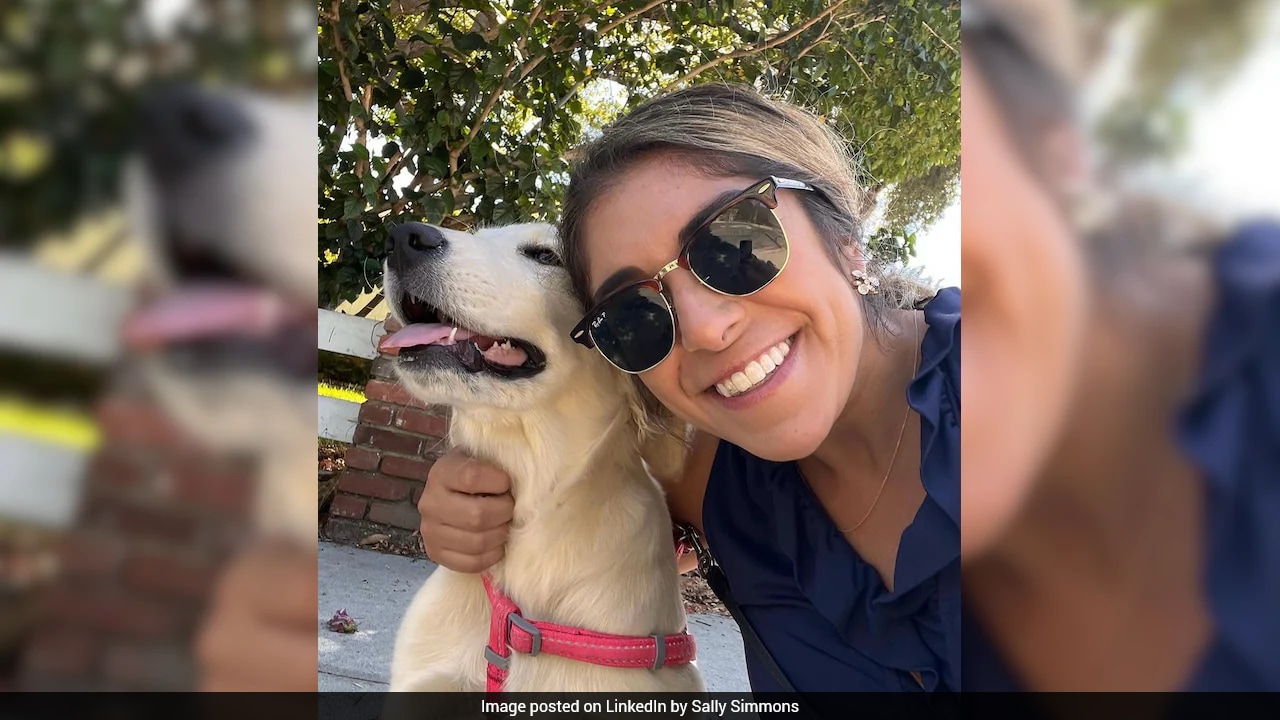 US woman quits marketing job to walk dogs, says 4 months changed her ...