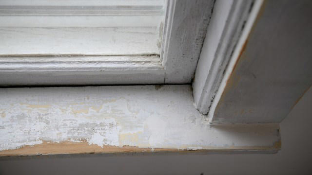 Massachusetts property owners can tap record $5.5 million to remove ...