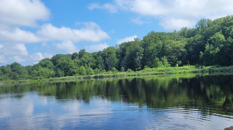 Nestled within Akron, Ohio is a park with scenic trails, fishing, and ...