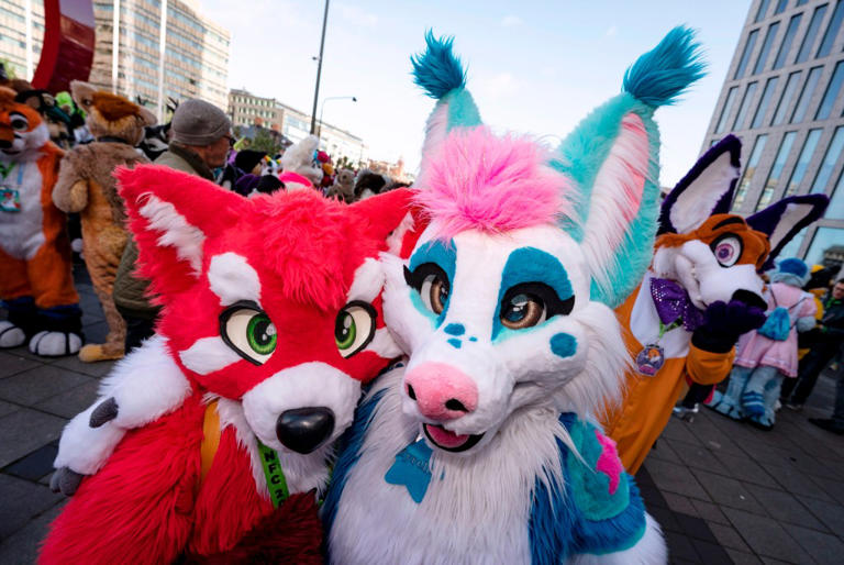 Romantic park proposal divides internet as 'furries' photobomb couple ...