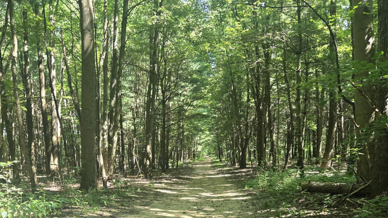 Nestled within Akron, Ohio is a park with scenic trails, fishing, and ...