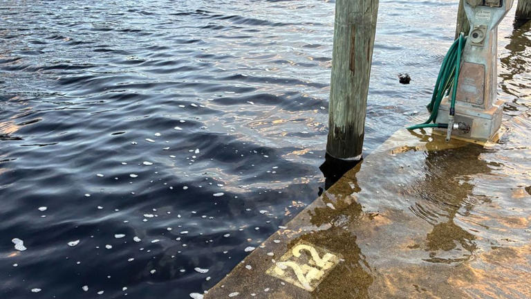 King tides bring widespread flooding; more high water expected Tuesday