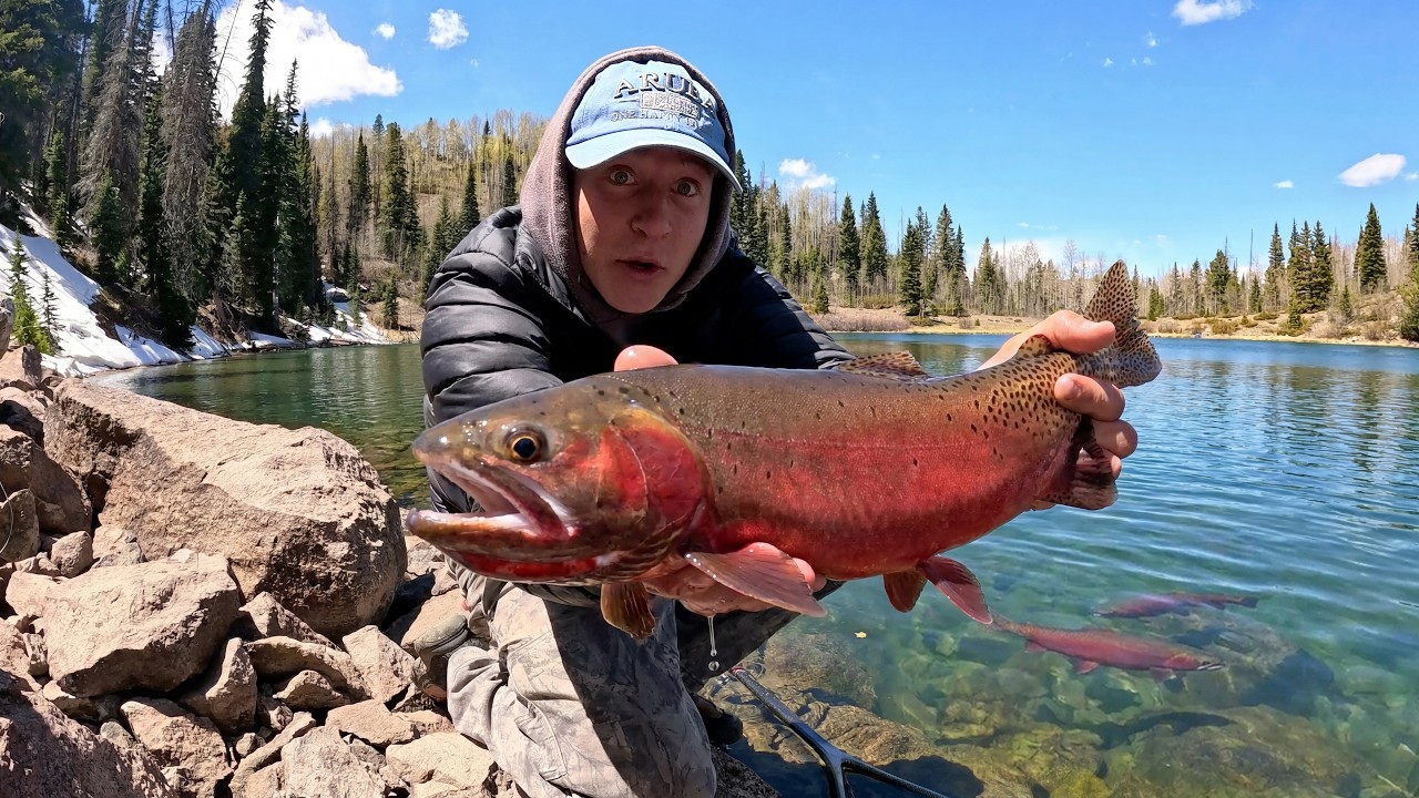 Mountain camping & fishing for giant cutthroat trout!