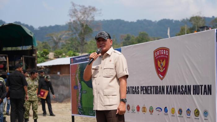 Mahfud apresiasi penertiban kawasan hutan tapi ingatkan risiko hukum ...