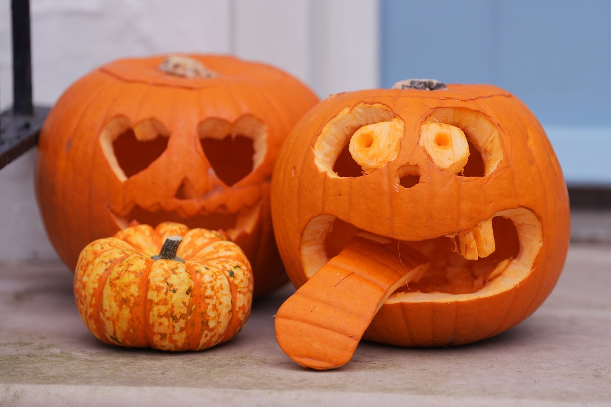 Pest control expert warns pumpkins could lure rats into UK homes