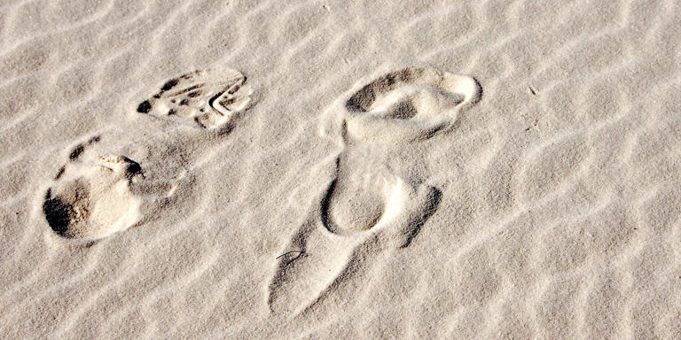 Scientists studied 23,000-year-old human footprints and reconstructed a ...