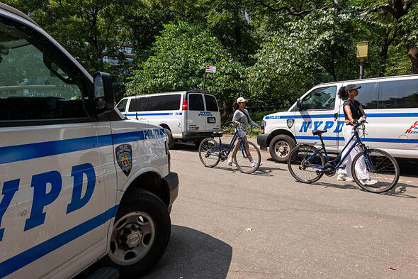 Is crime increasing in Central Park? Latest NYPD statistics explained
