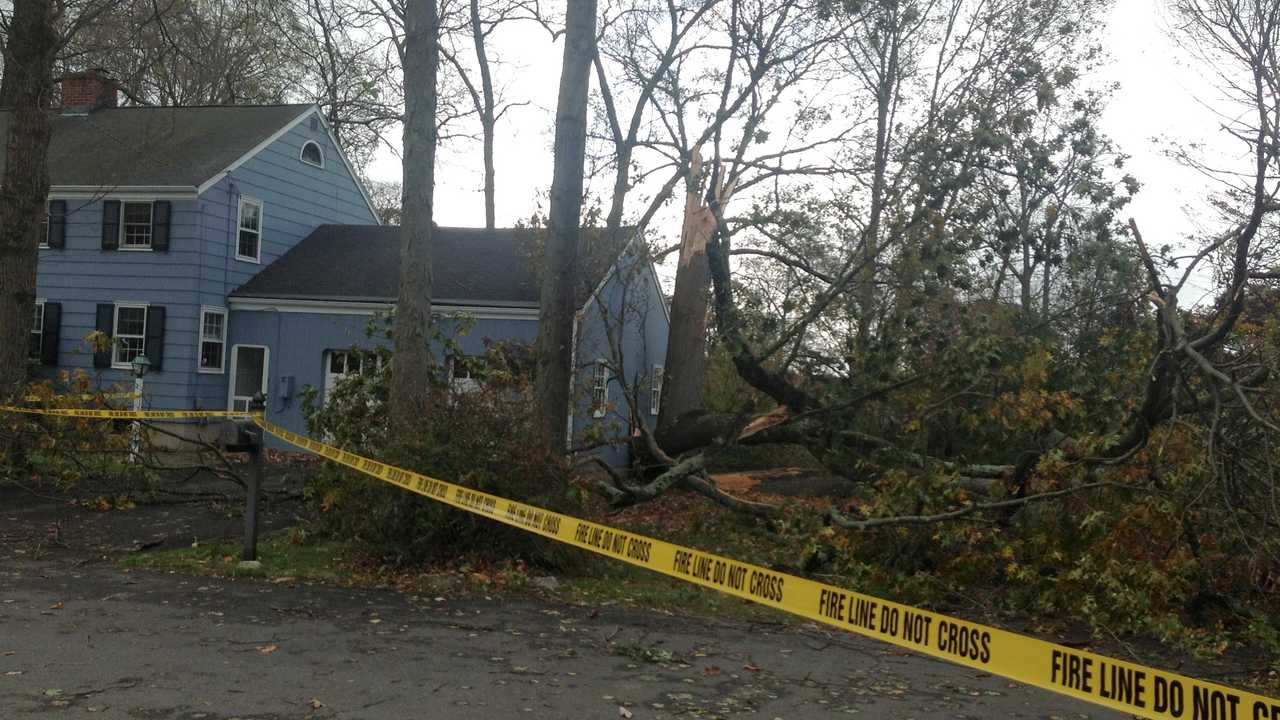 Man killed by falling tree in Codorus Township