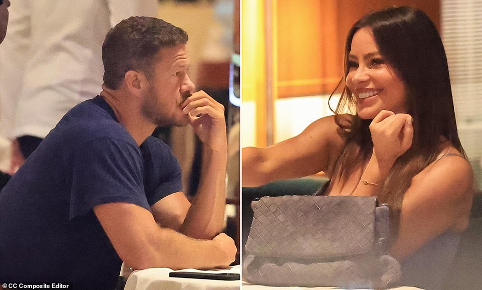 Sofia Vergara and Reynolds spark romance rumors following their splits