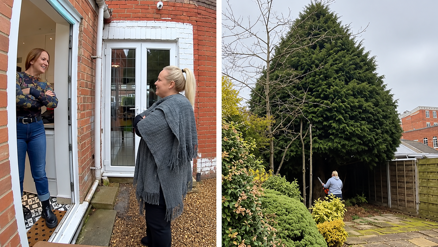 Two neighbors argue over backyard trees - then the disagreement turns ...