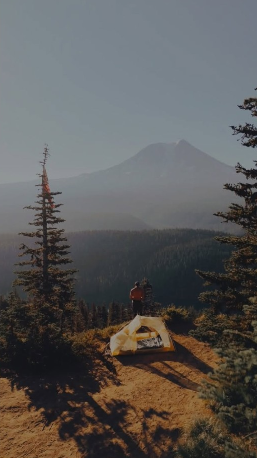 Exploring the connection between people and nature