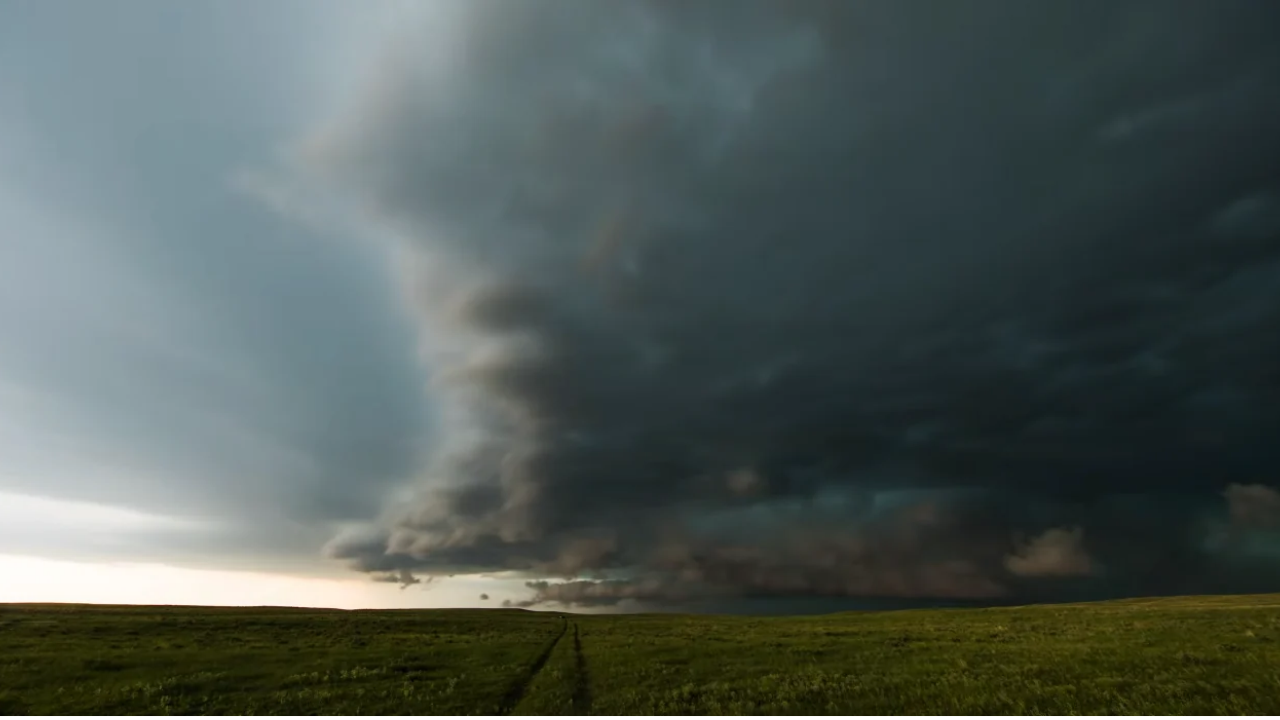 Vorticity in stunning motion