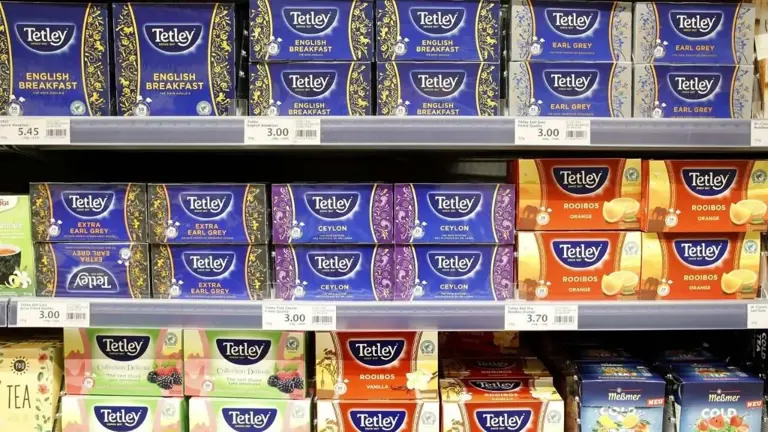 Tata Consumer Q2 results: Can new brands offset weakness in its core ...