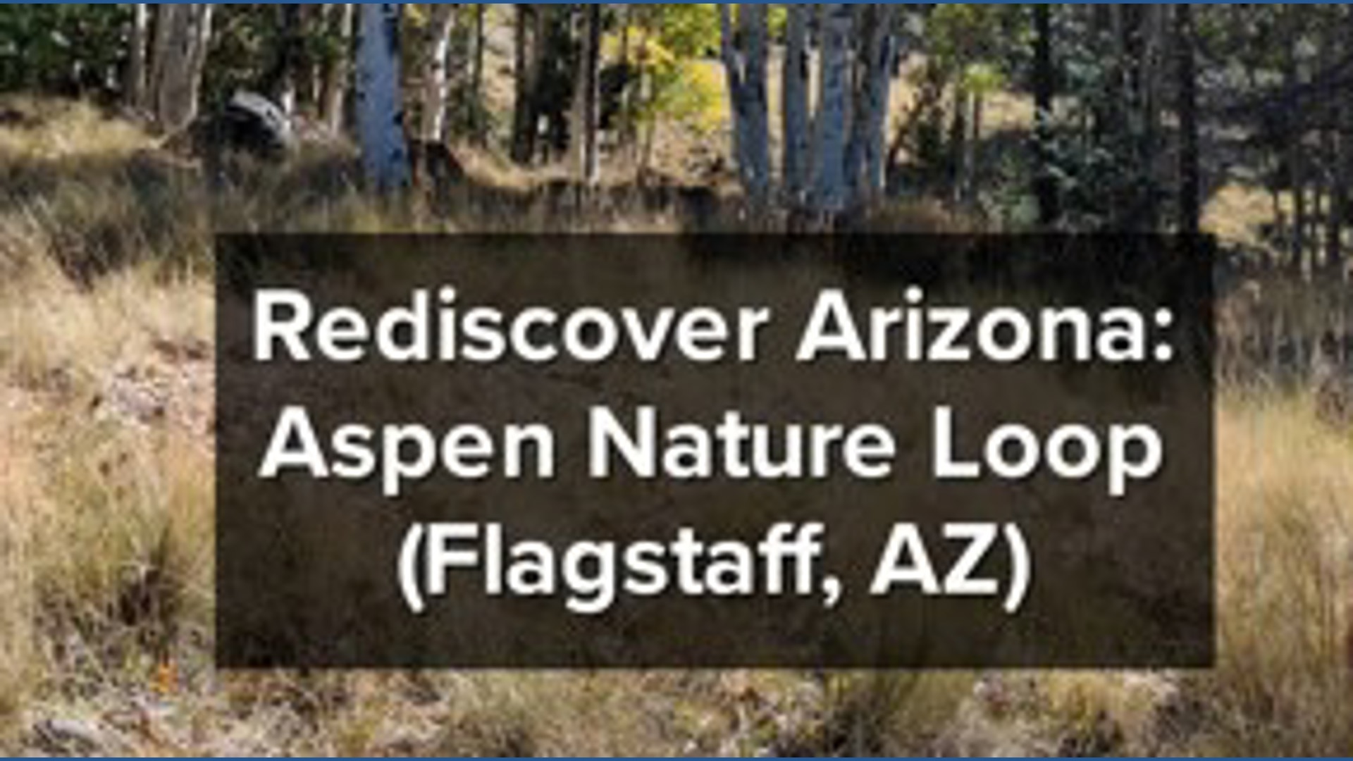 Rediscover Arizona: Aspen nature loop - Flagstaff's fall foliage