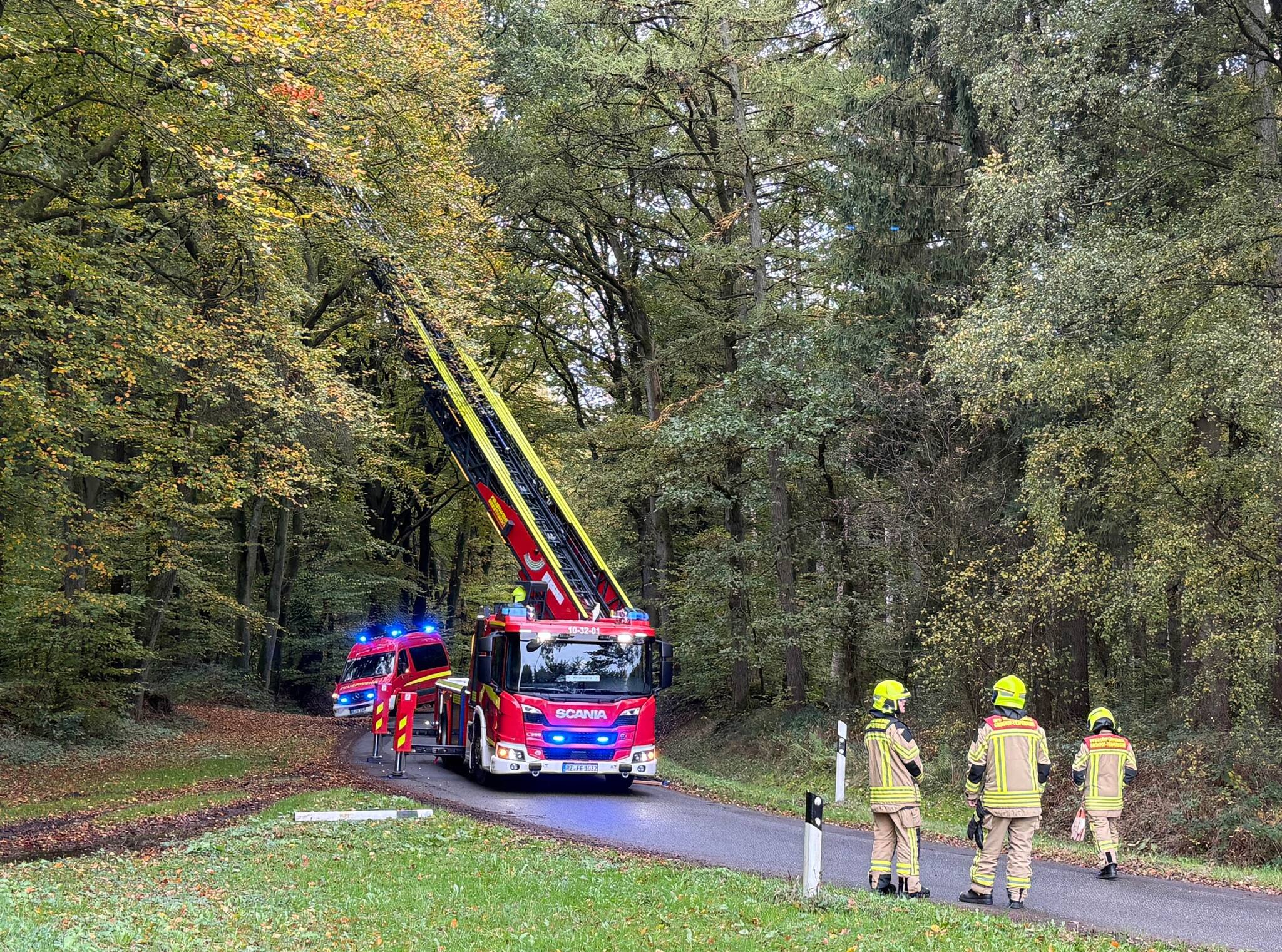 Stadt Geesthacht warnt nach dem Sturmtief „Manja“: Waldbesuche bleiben ...