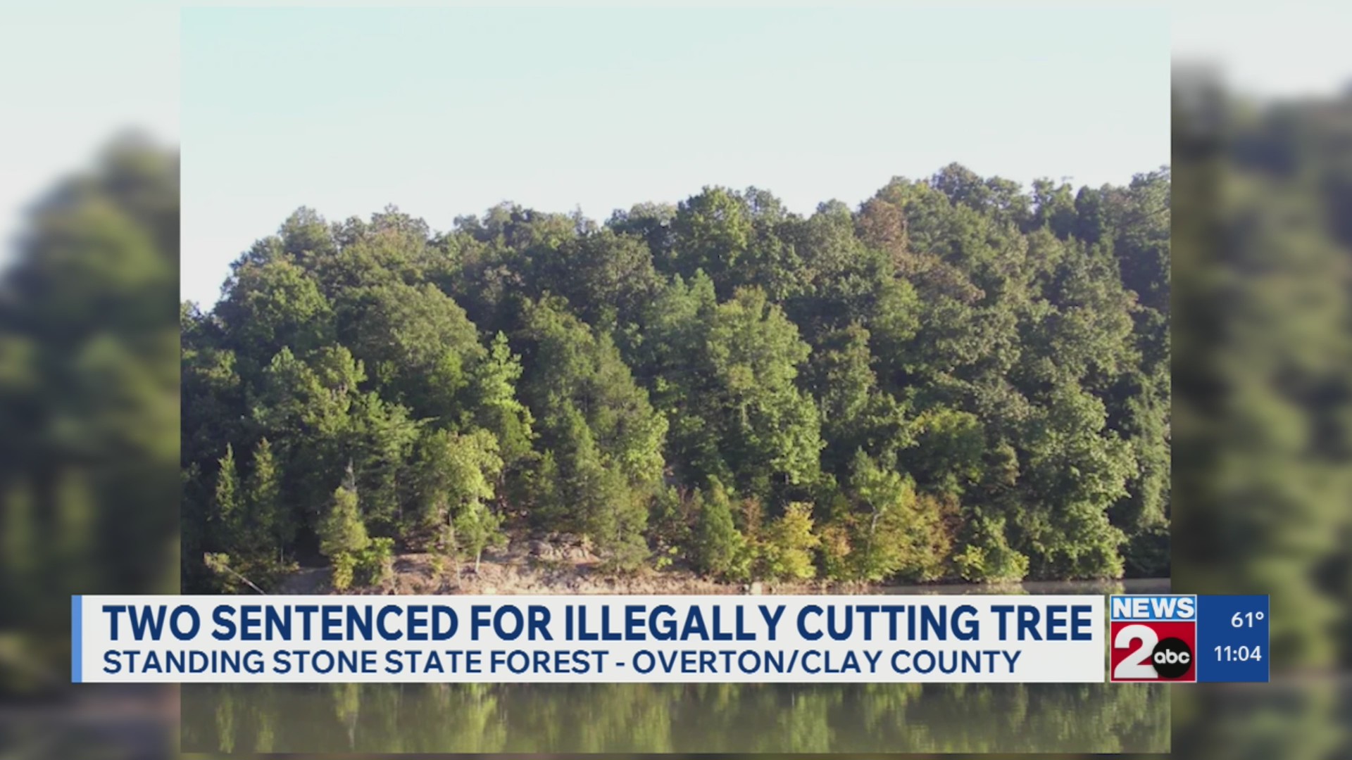 2 banned after cutting tree from TN State Forest