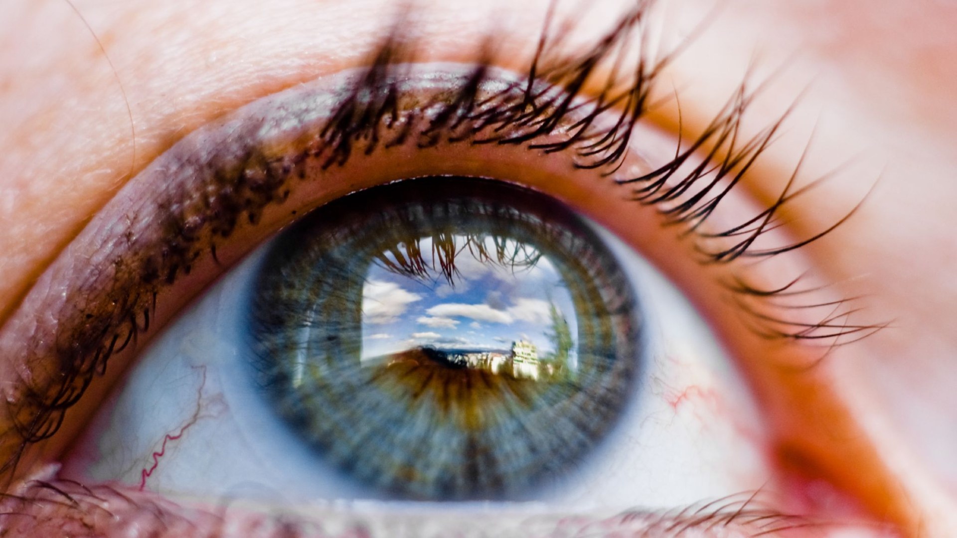 What your eye color may say about you