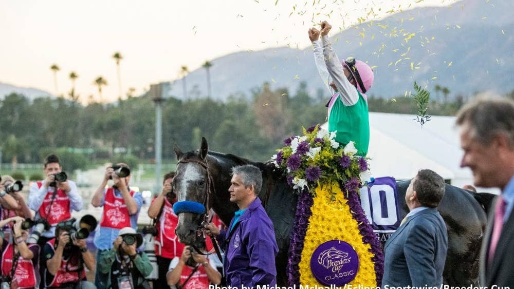 Where are they now? The winners of the 2016 Breeders' Cup