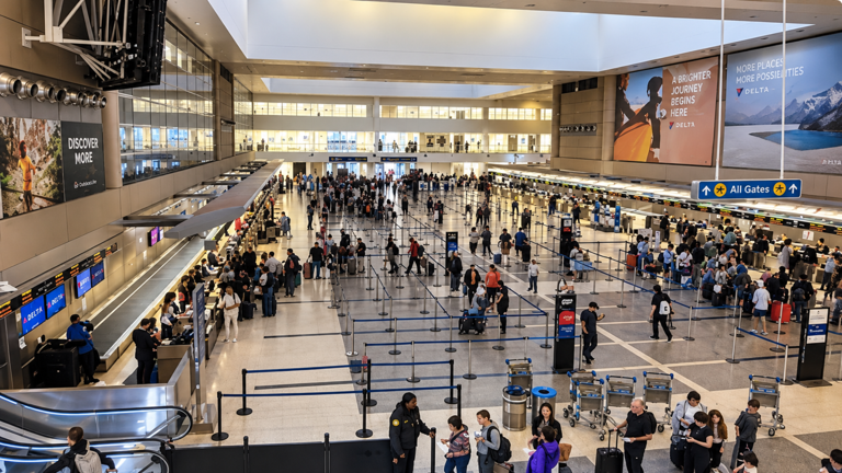 TSA Brought Back a 