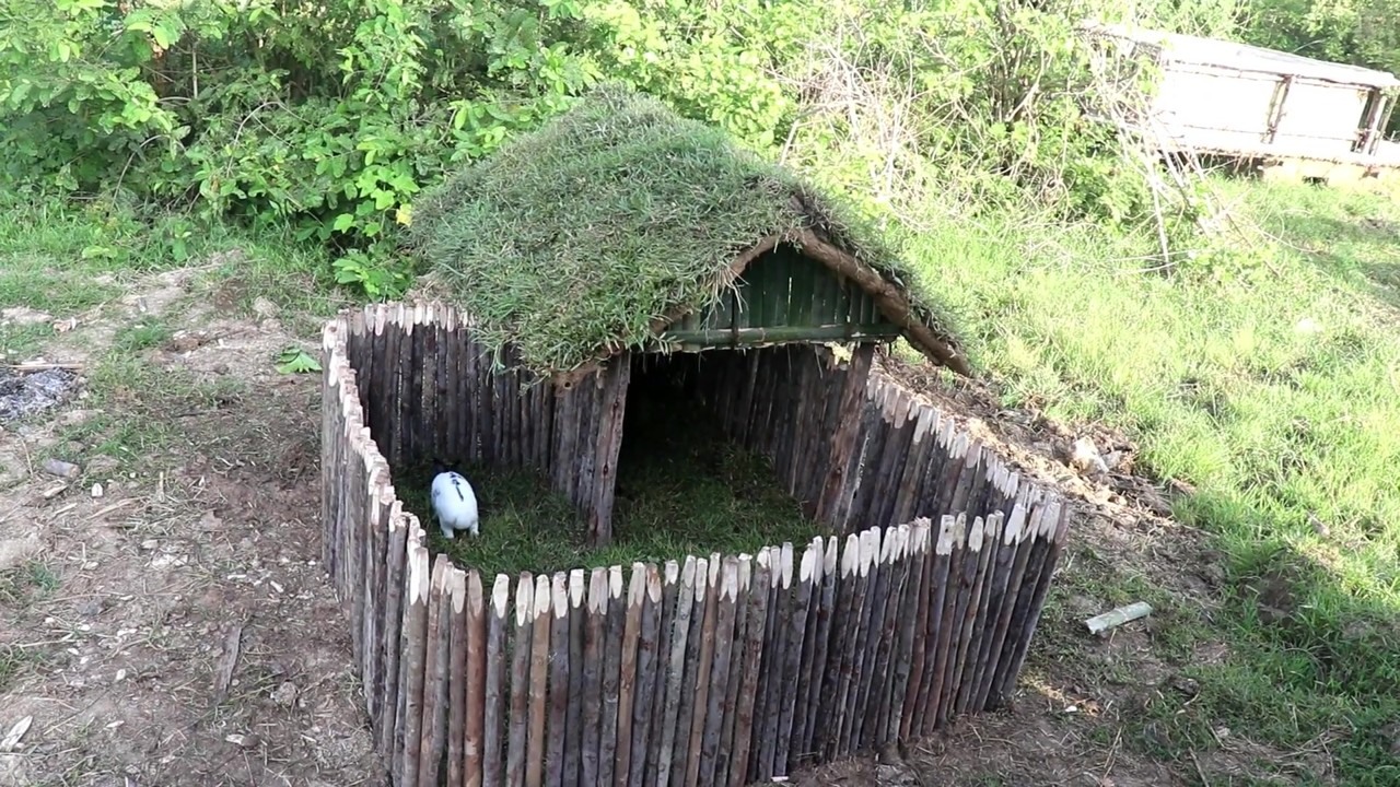 Grass-roof rabbit house with a wooden enclosure