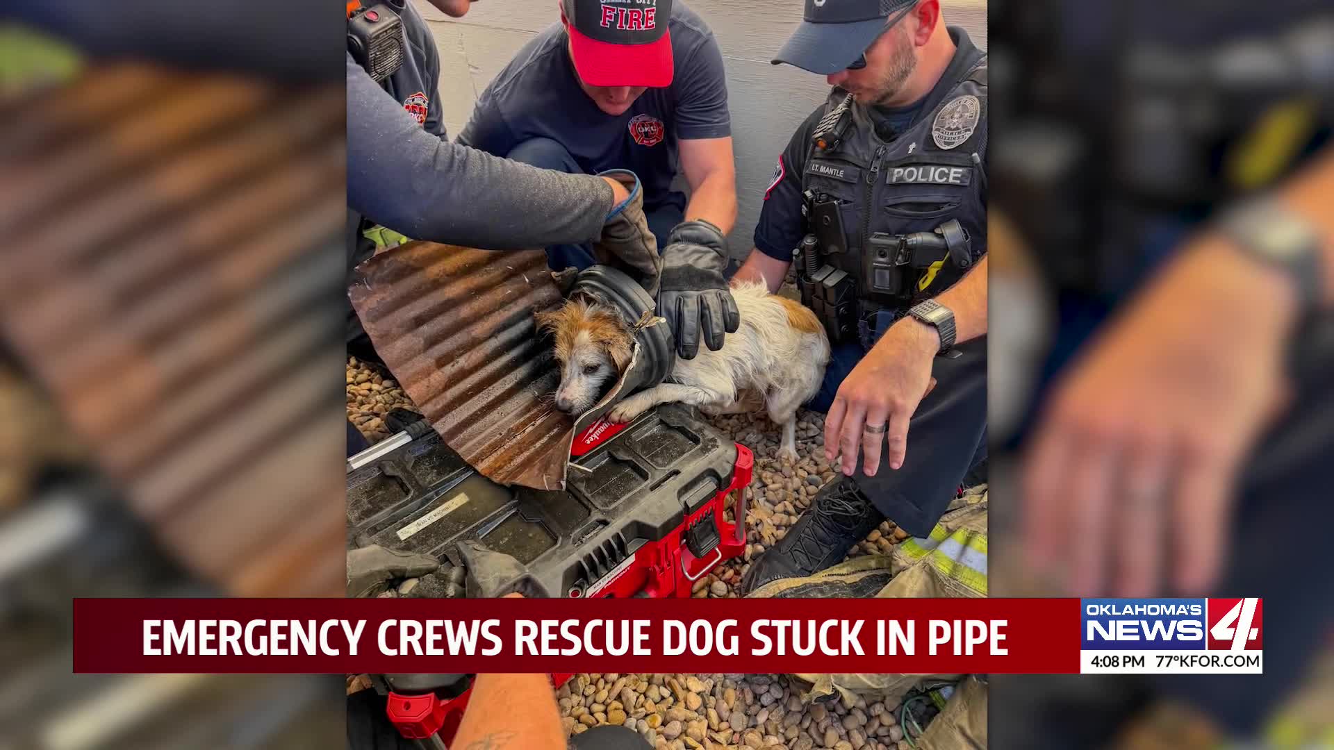 Emergency crews rescue dog stuck in pipe