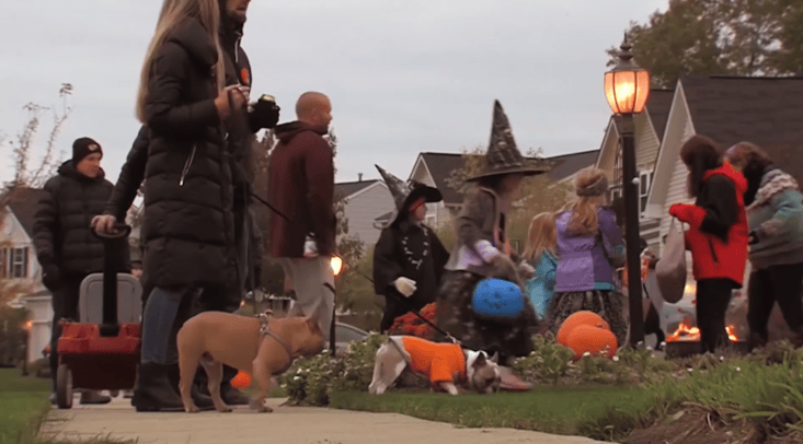 Nicholasville police urge Halloween safety as study highlights ...