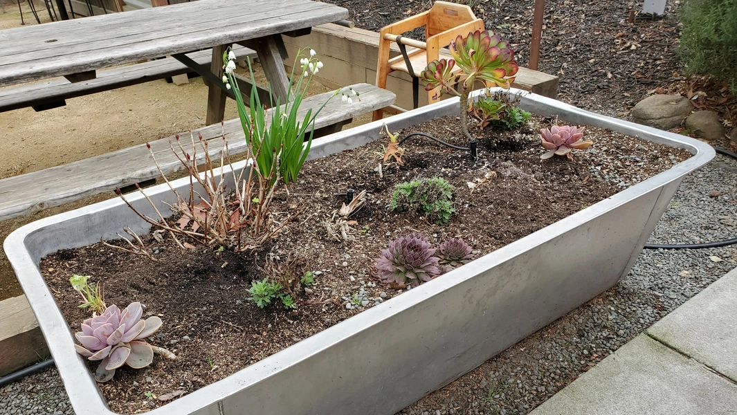 Find the perfect pot for your plants