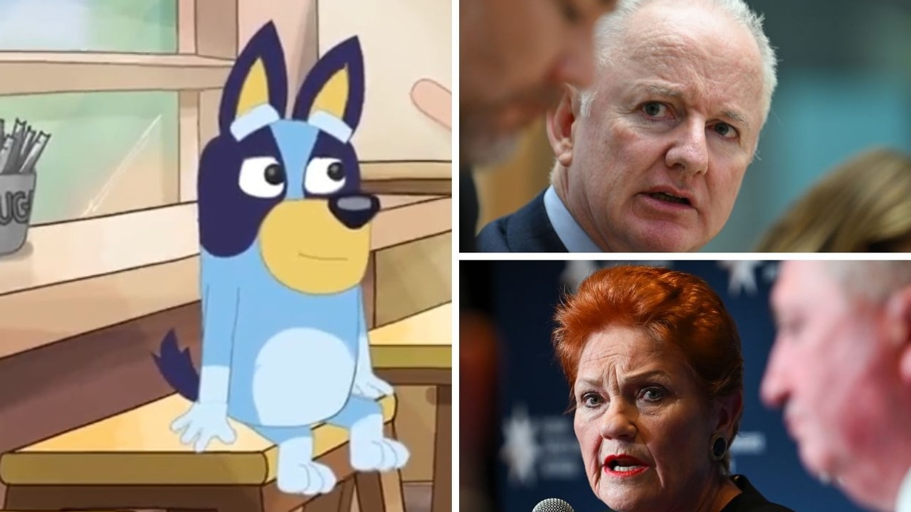 'Shocking': ABC warning to Pauline over Bluey