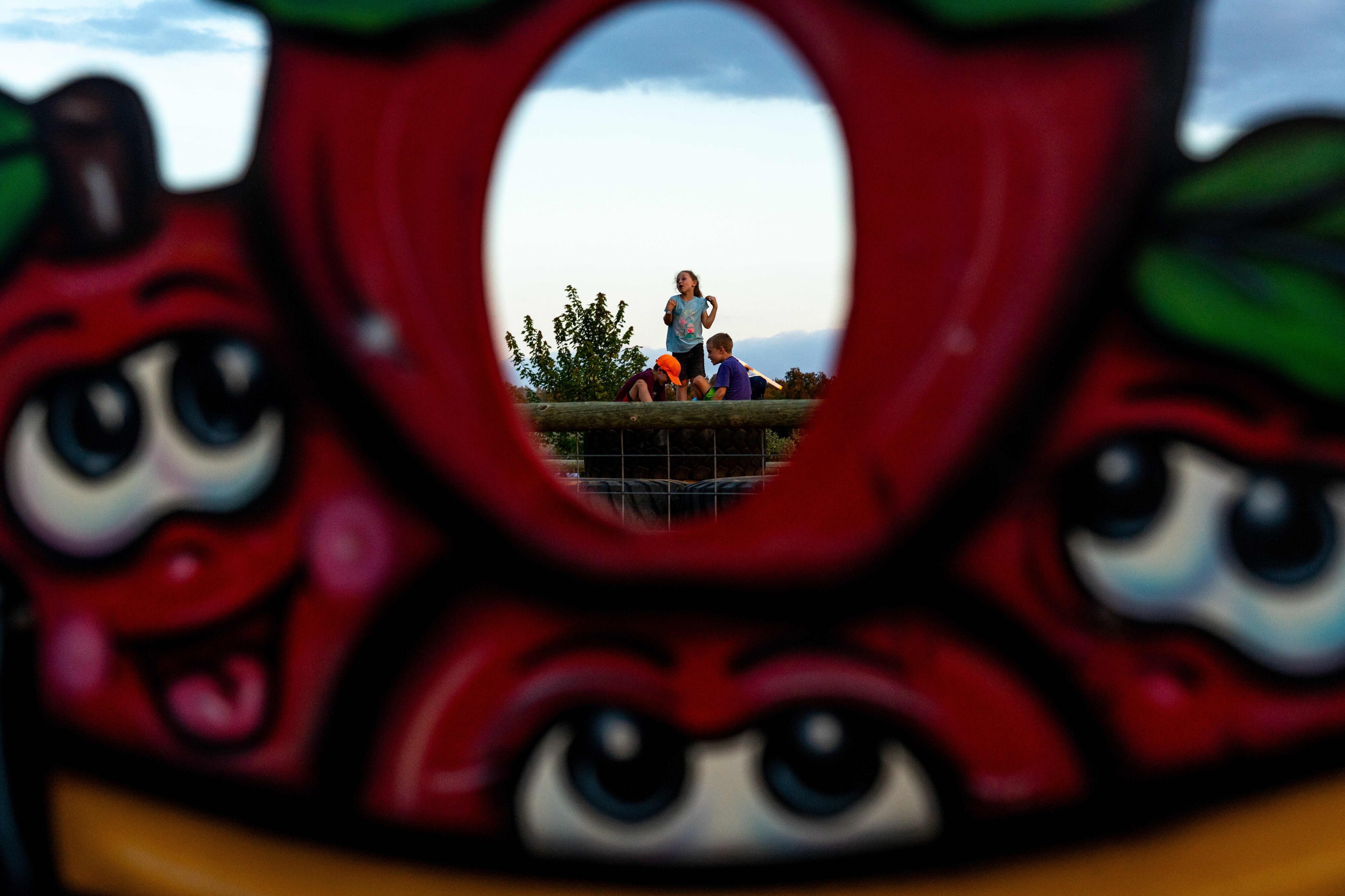 Gull Meadow Farms fall finale to feature pumpkin drop, candy cannon